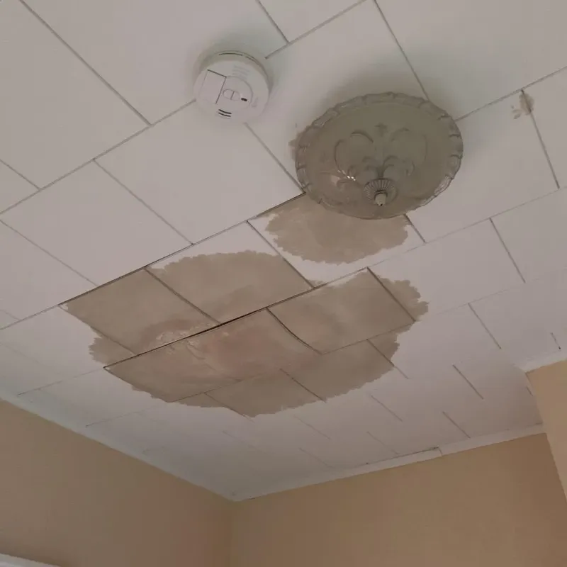 Ceiling Water Damage Repair in Lambertville, MI