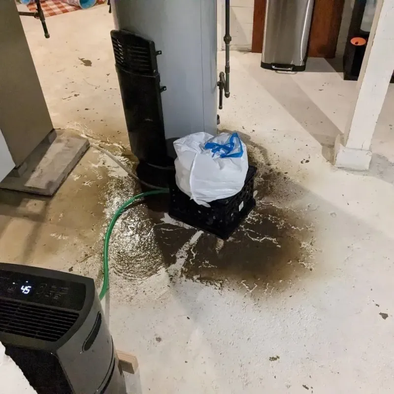 Sewage Backup Cleanup Service in Lambertville, MI